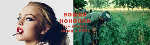 спайс Богданович