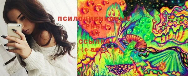 бутират Богородицк