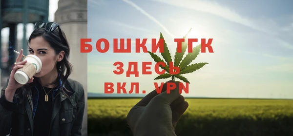 спайс Богданович