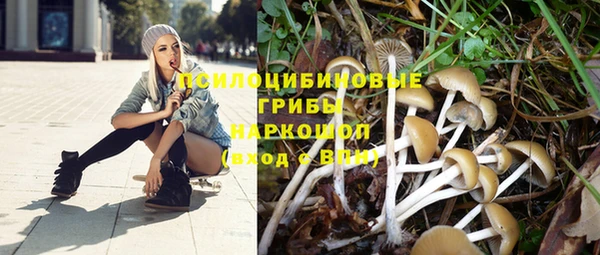синтетический гашиш Богородск