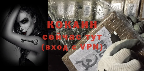 спайс Богданович