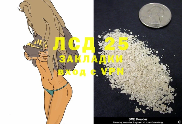спайс Богданович