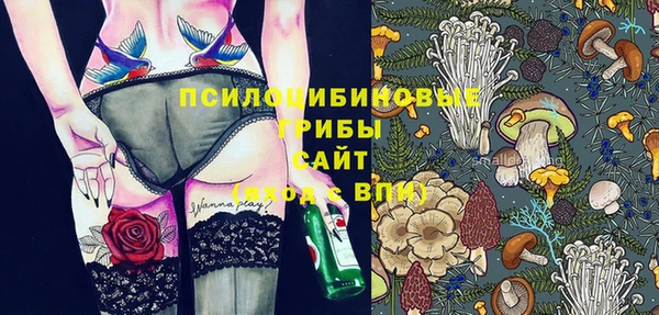 спайс Богданович