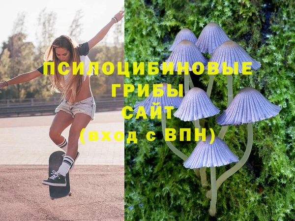 бутират Богородицк