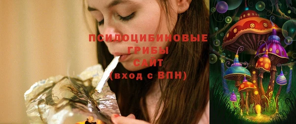 синтетический гашиш Богородск