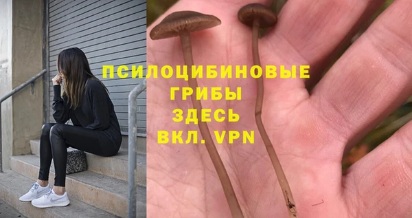бутират Богородицк