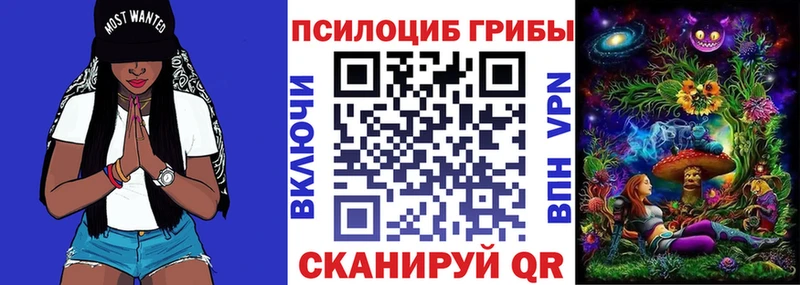 Псилоцибиновые грибы Psilocybine cubensis Симферополь