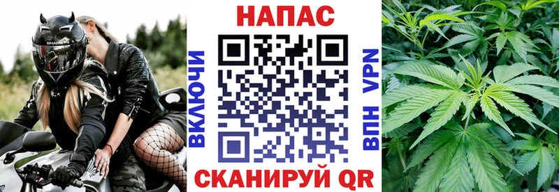 Каннабис OG Kush  Симферополь 
